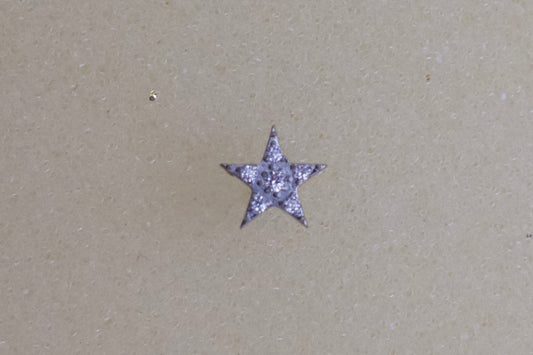 Cubic Zirconia Star Stainless Steel Earring Set